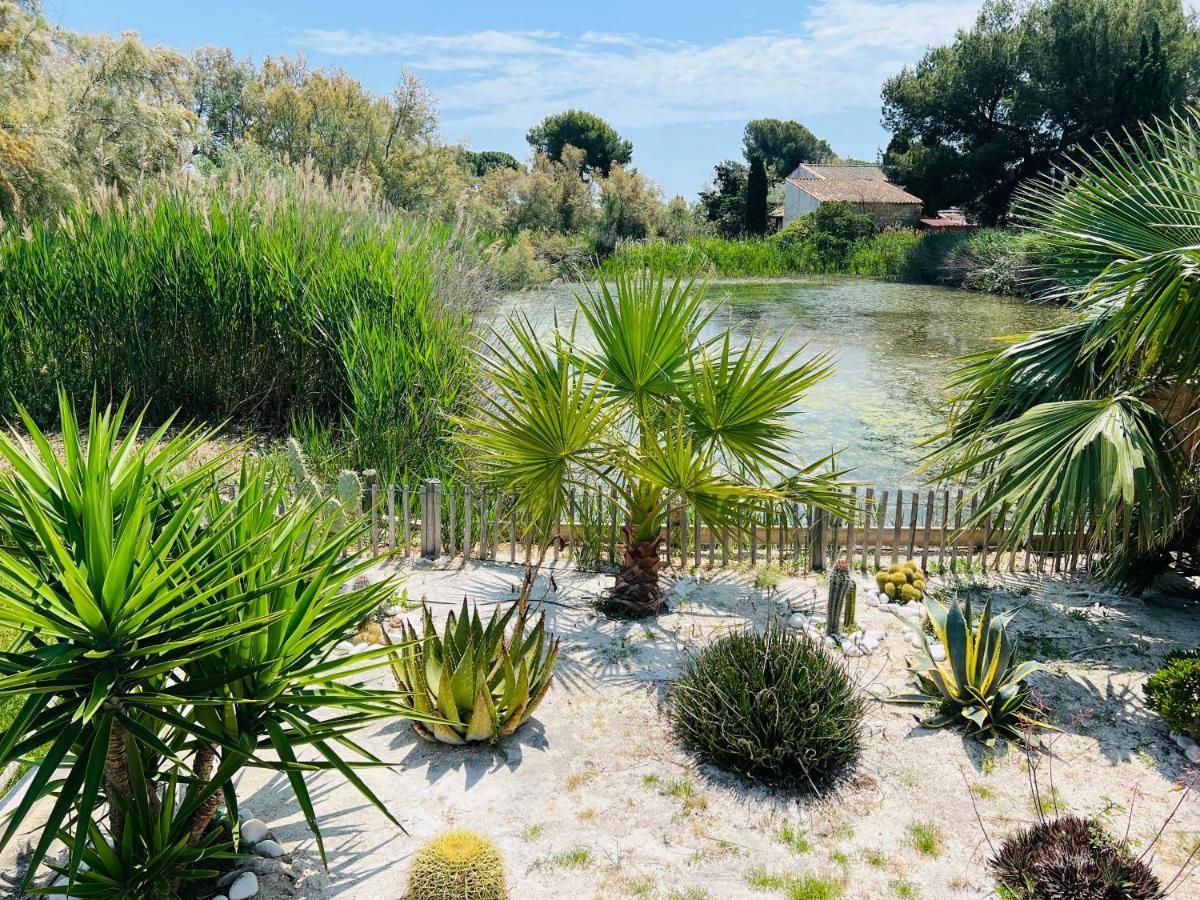 Cabane Le Flamant Avec Jardin, Piscine Et Parking Saintes-Maries-de-la-Mer Exterior photo