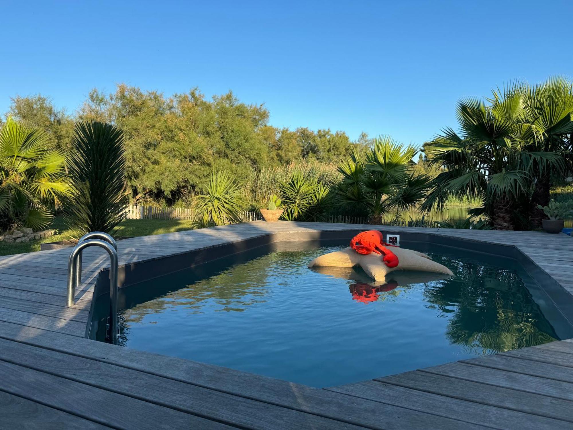 Cabane Le Flamant Avec Jardin, Piscine Et Parking Saintes-Maries-de-la-Mer Exterior photo